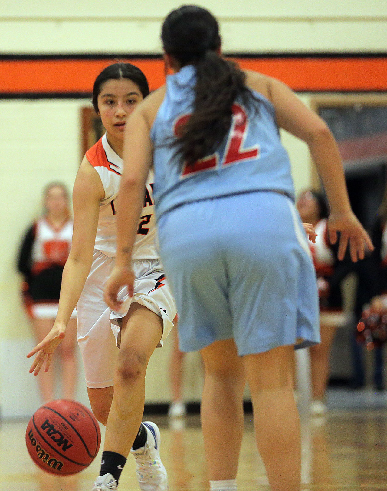Owyhee at Wells Girls Basketball (92).jpg